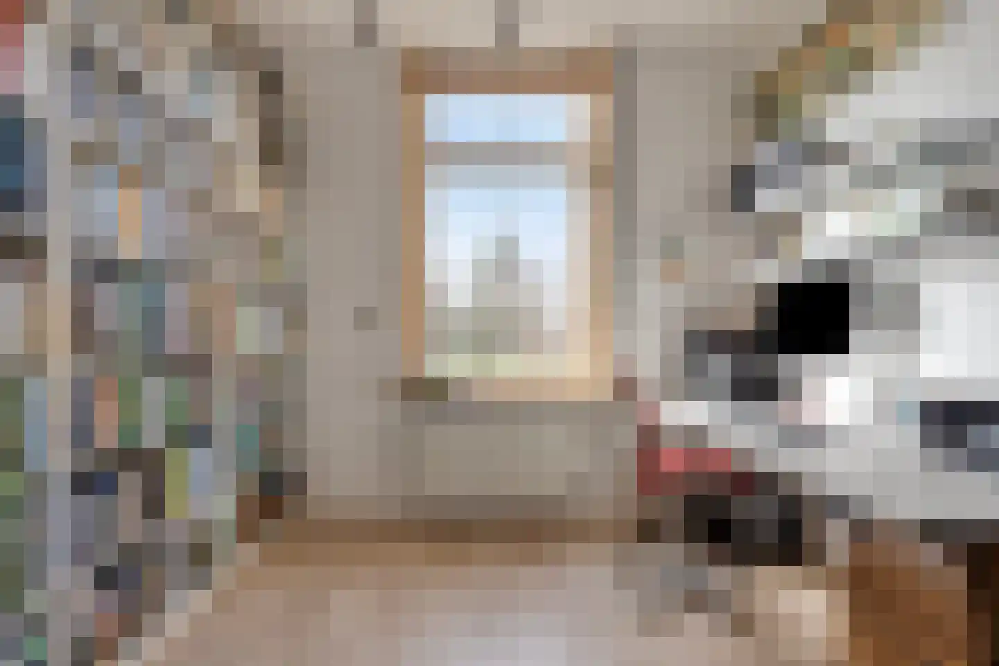 Zutphen-Emmerikseweg 10 Toldijk thumbnail 15