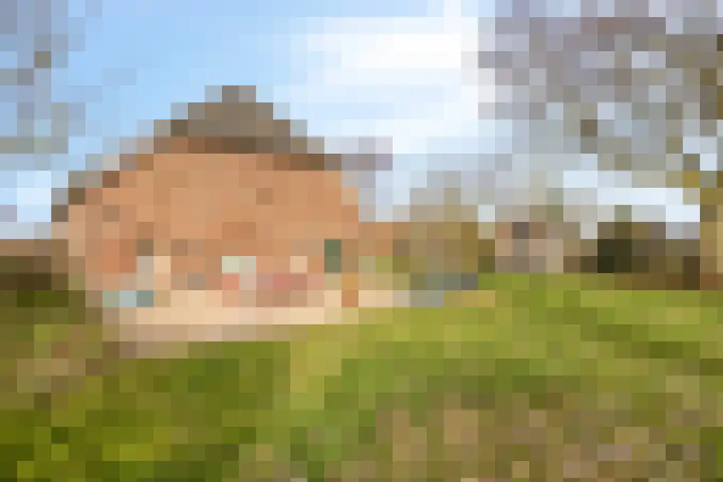 Zutphen-Emmerikseweg 10 Toldijk thumbnail 37