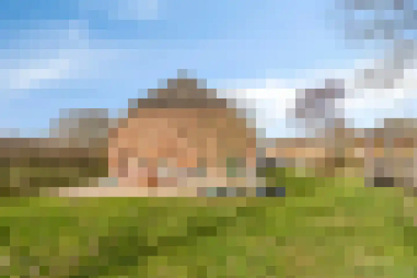 Zutphen-Emmerikseweg 10 Toldijk thumbnail 4