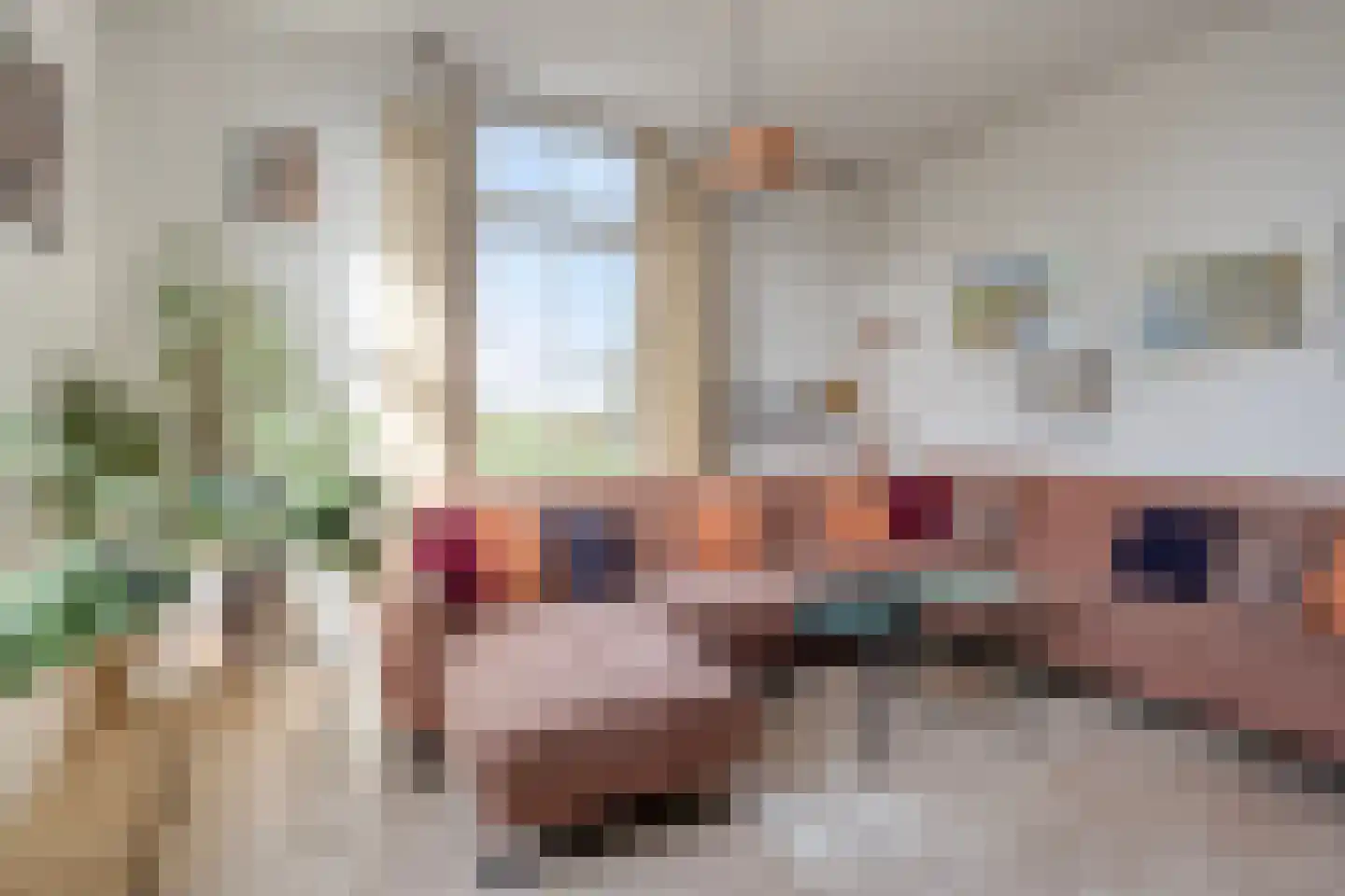 Zutphen-Emmerikseweg 10 Toldijk thumbnail 8