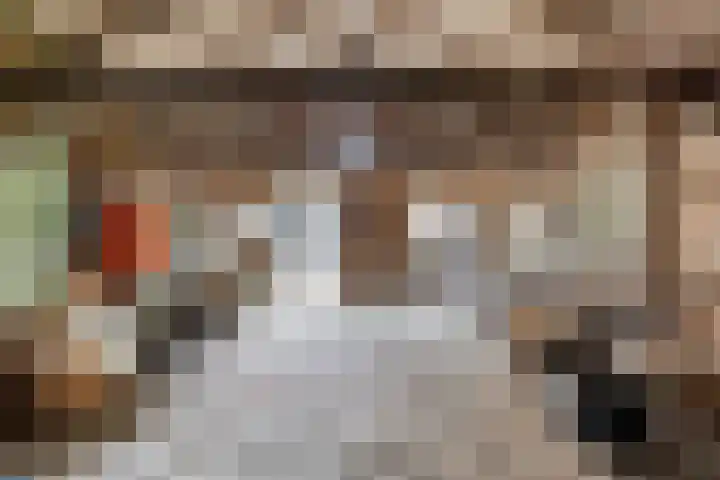 Zutphen-Emmerikseweg 106 Baak thumbnail 45