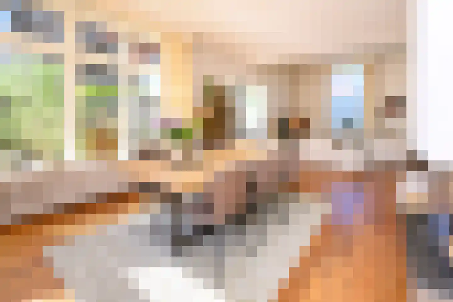 Zutphensestraat 10 Brummen thumbnail 14