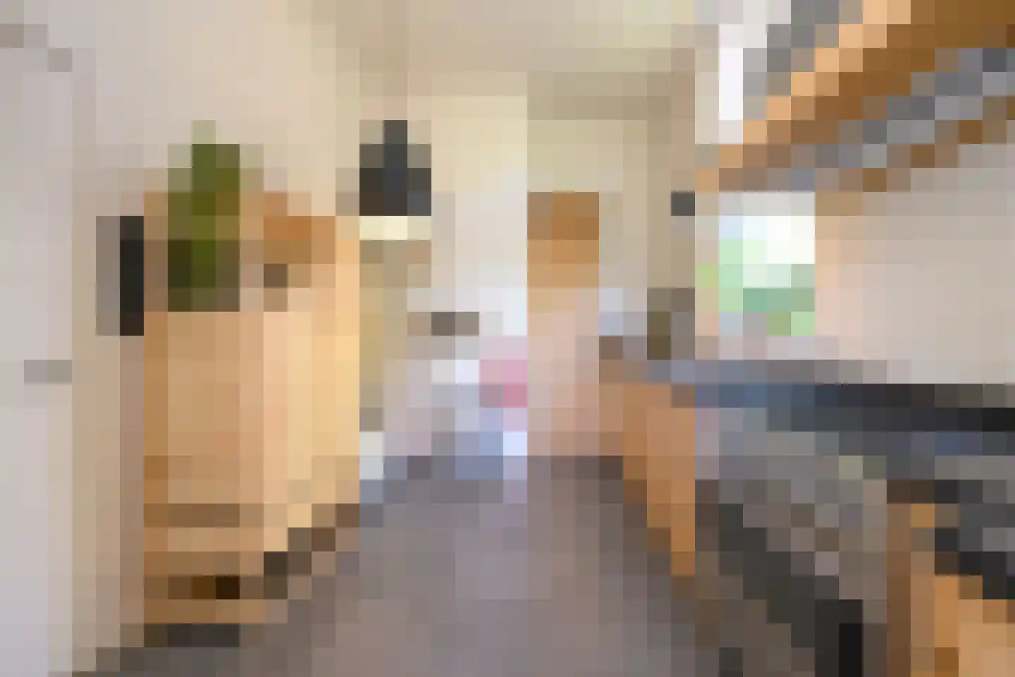 Zutphensestraat 10 Brummen thumbnail 15