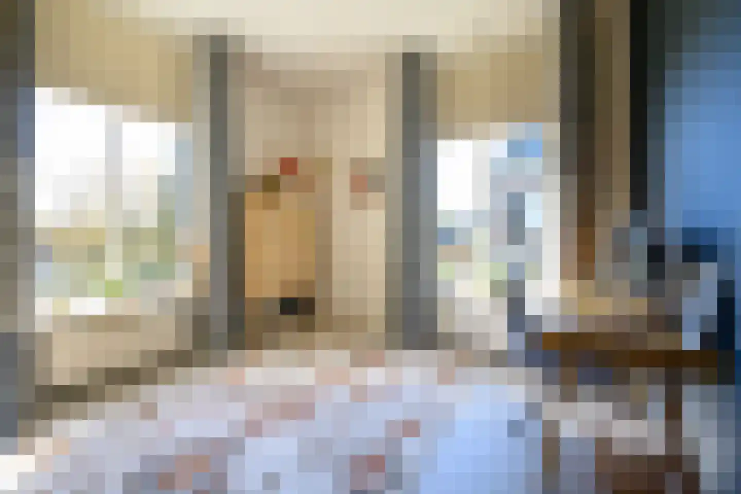 Zutphensestraat 10 Brummen thumbnail 24