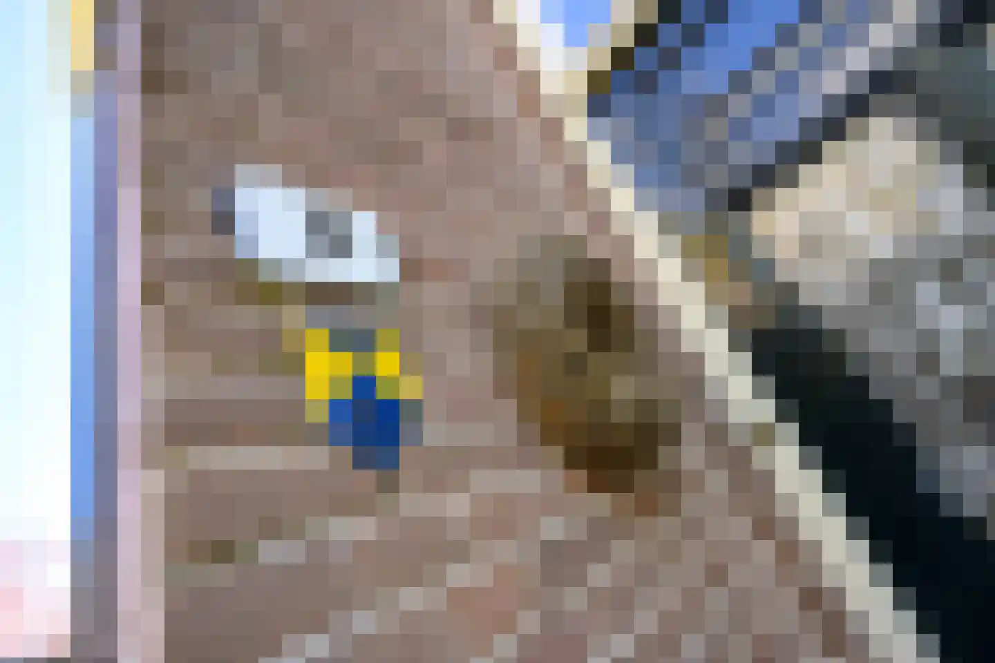 Zutphensestraat 10 Brummen thumbnail 37