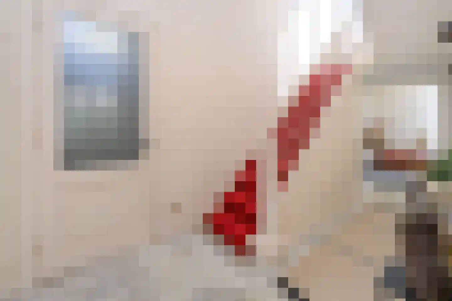 Zutphensestraat 10 Brummen thumbnail 4