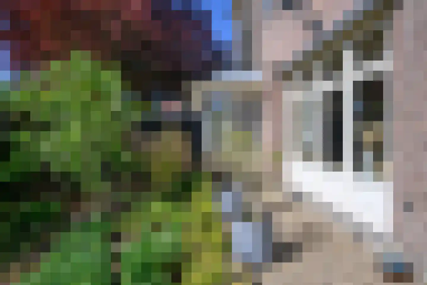 Zutphensestraat 10 Brummen thumbnail 41