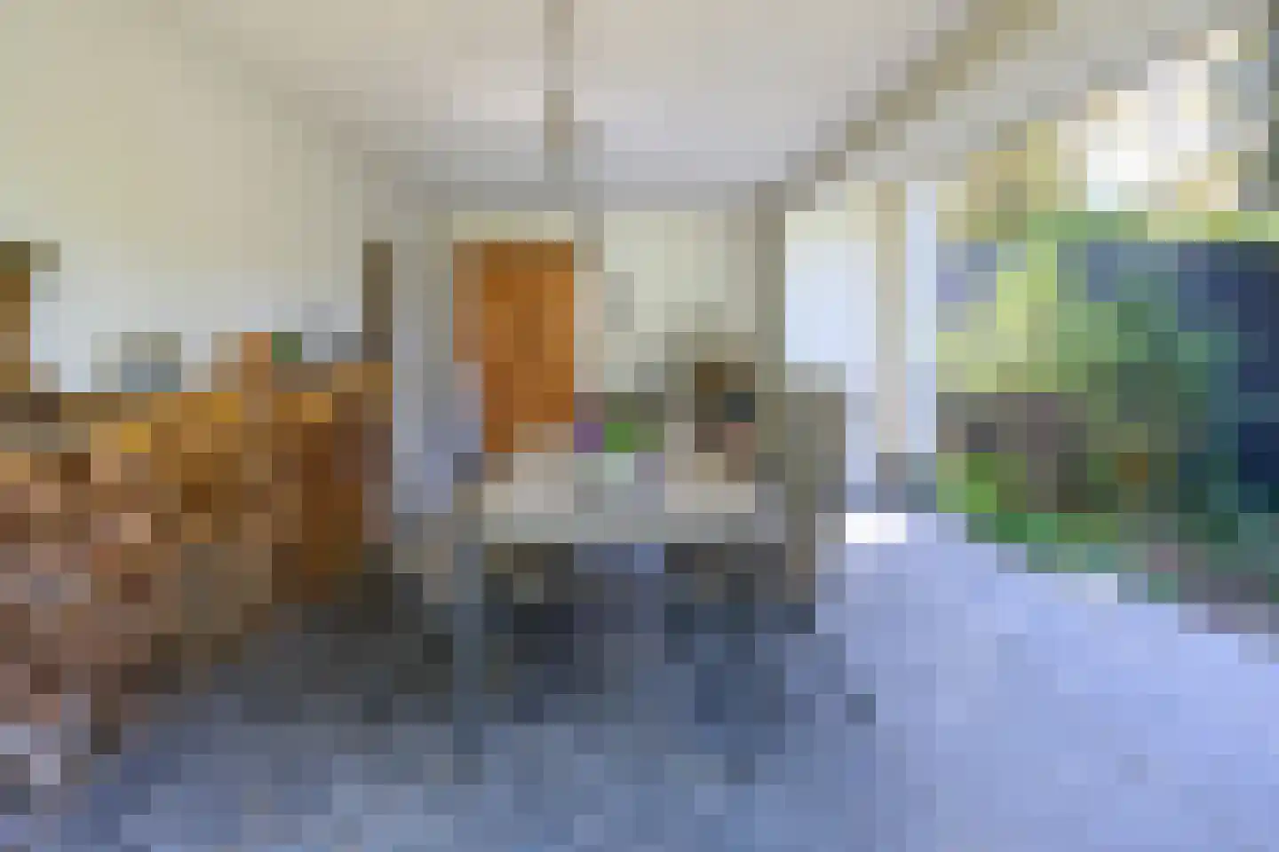 Zutphensestraat 10 Brummen thumbnail 45