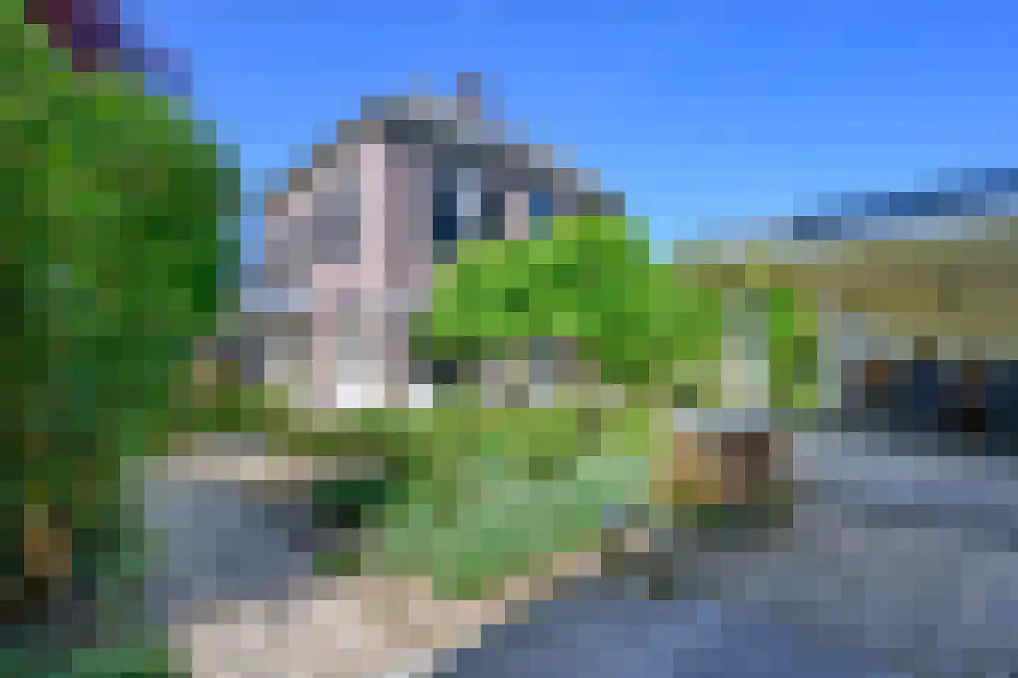 Zutphensestraat 10 Brummen thumbnail 46