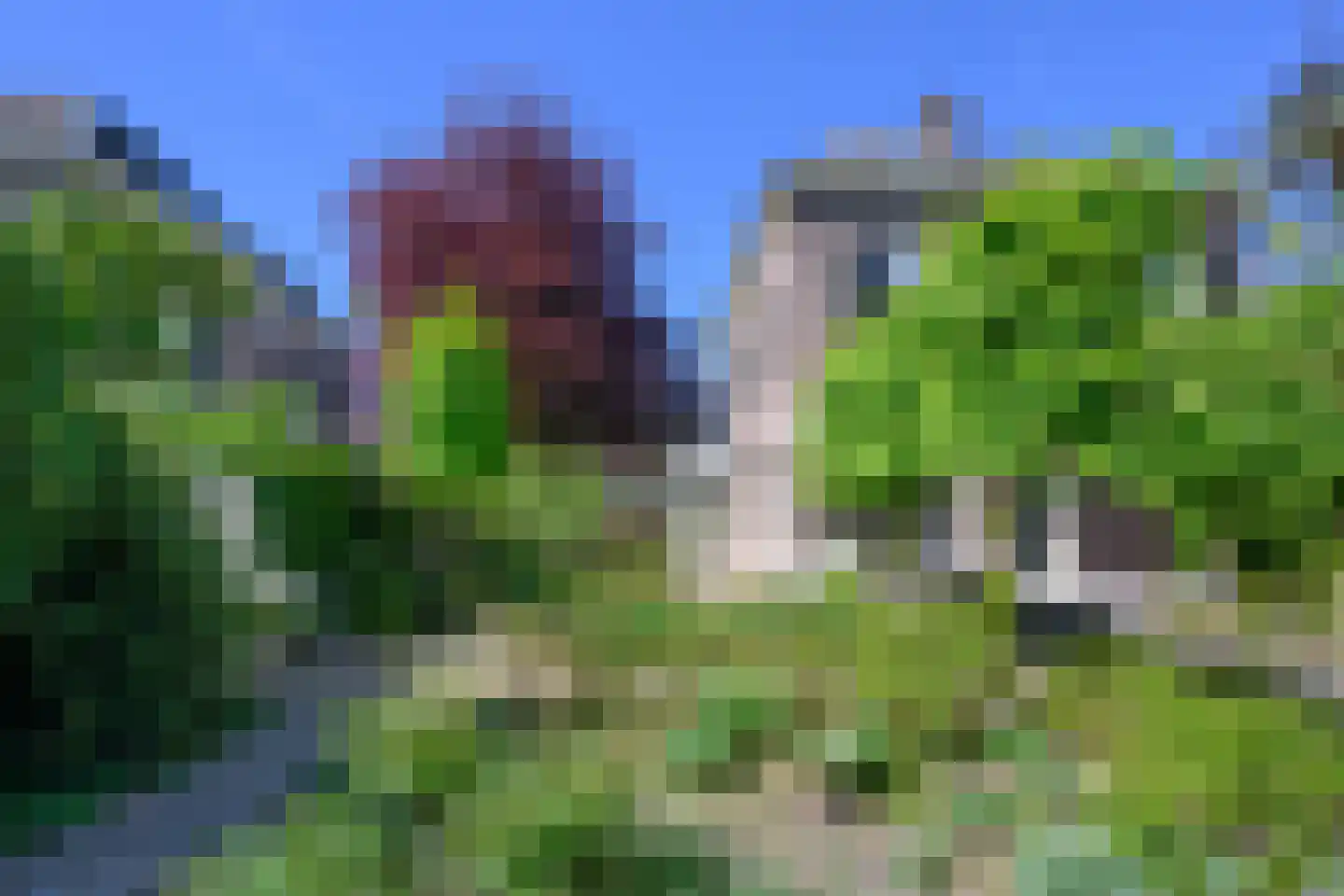 Zutphensestraat 10 Brummen thumbnail 47