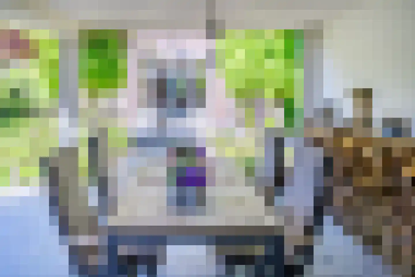 Zutphensestraat 10 Brummen thumbnail 49