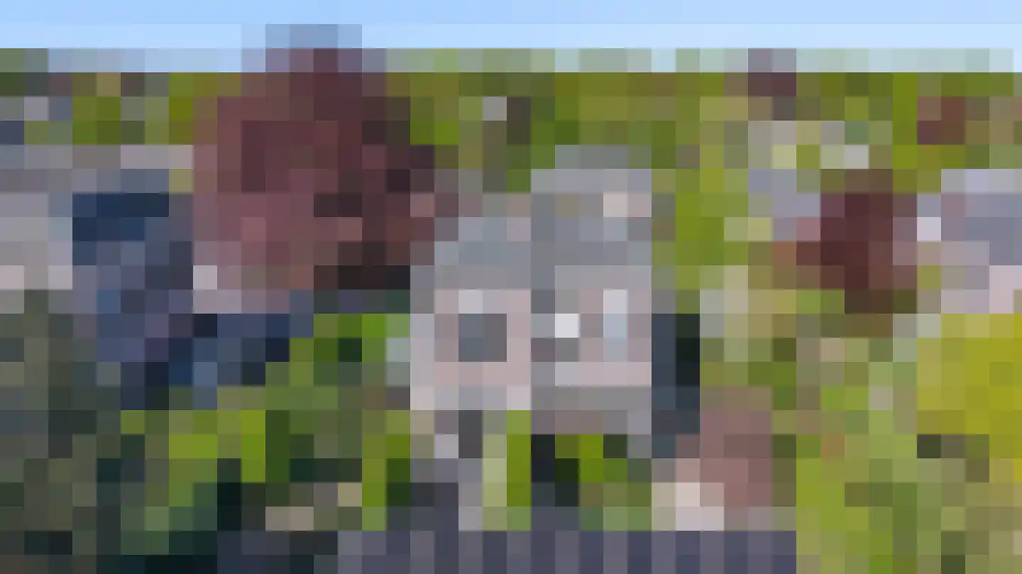 Zutphensestraat 10 Brummen thumbnail 61