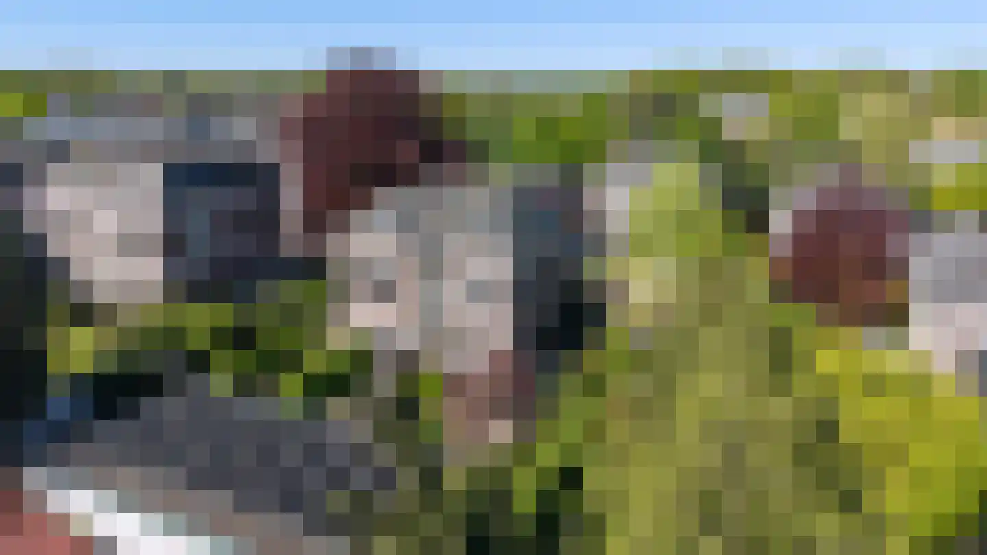 Zutphensestraat 10 Brummen thumbnail 62