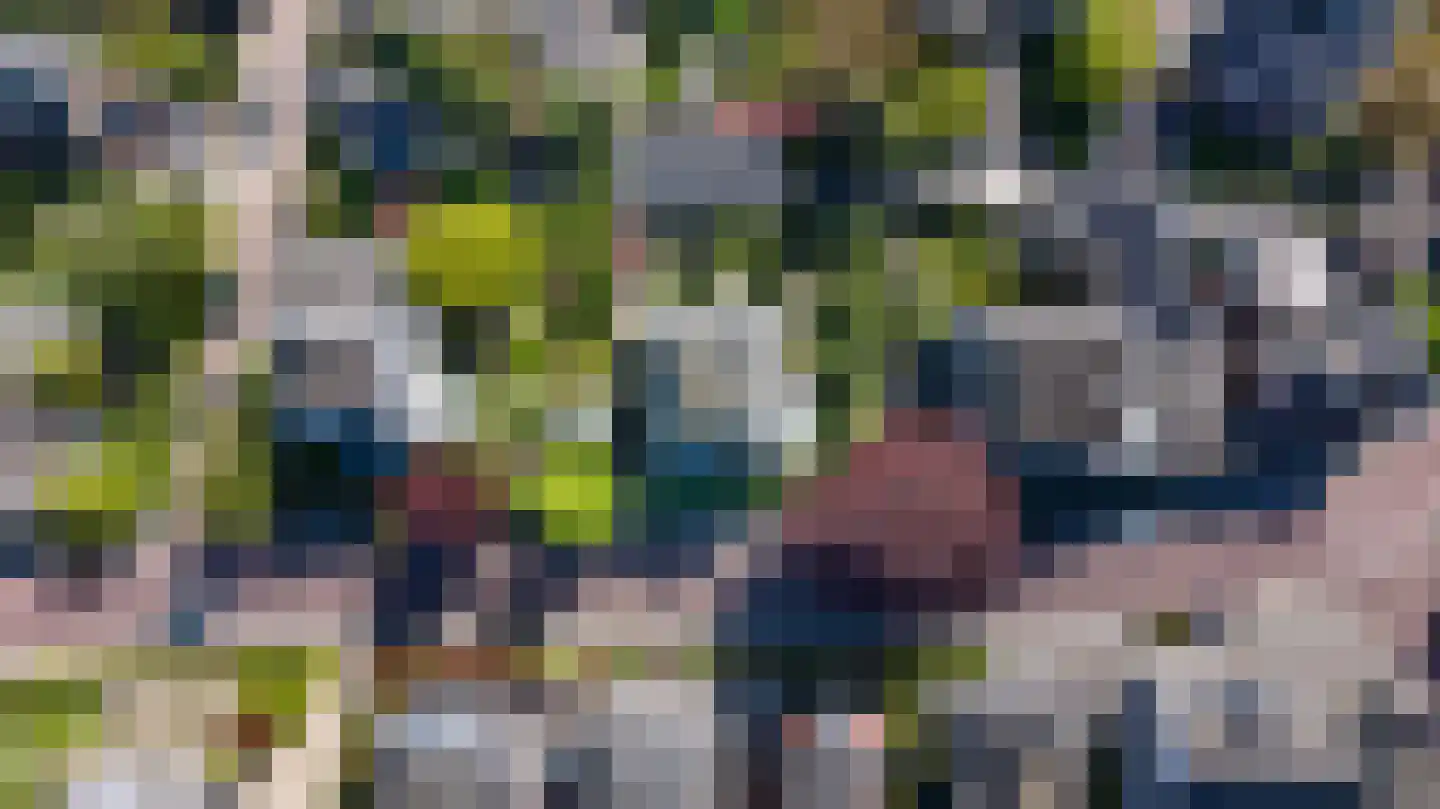 Zutphensestraat 10 Brummen thumbnail 63