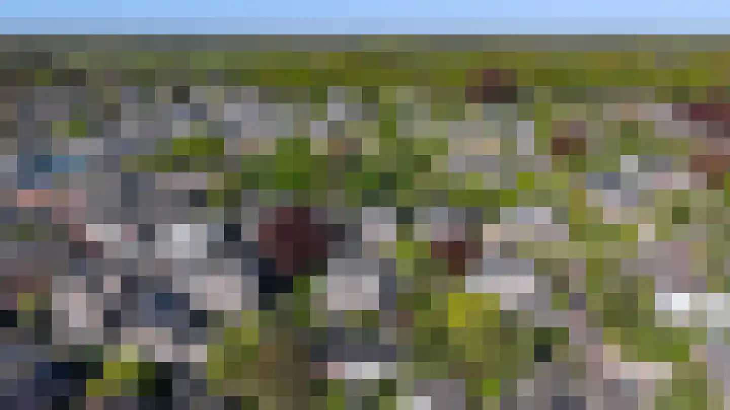 Zutphensestraat 10 Brummen thumbnail 64
