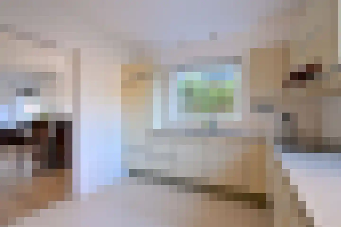 Zutphensestraat 107 Brummen thumbnail 12