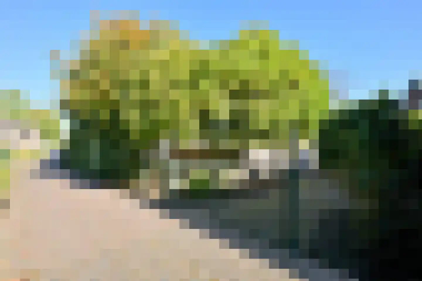 Zutphensestraat 107 Brummen thumbnail 37