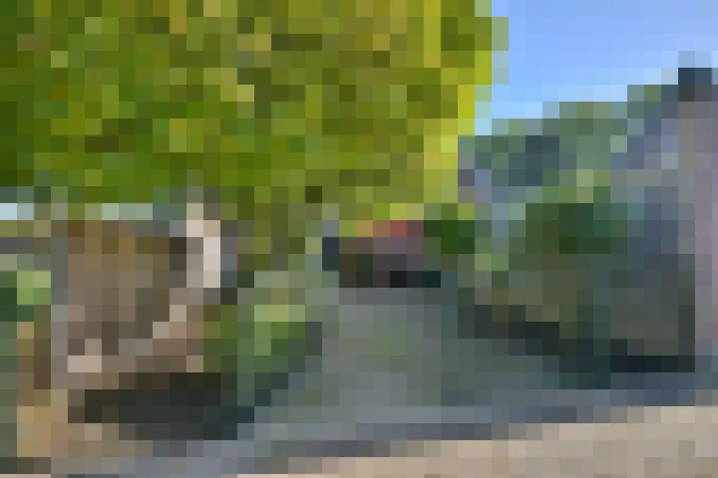 Zutphensestraat 107 Brummen thumbnail 38