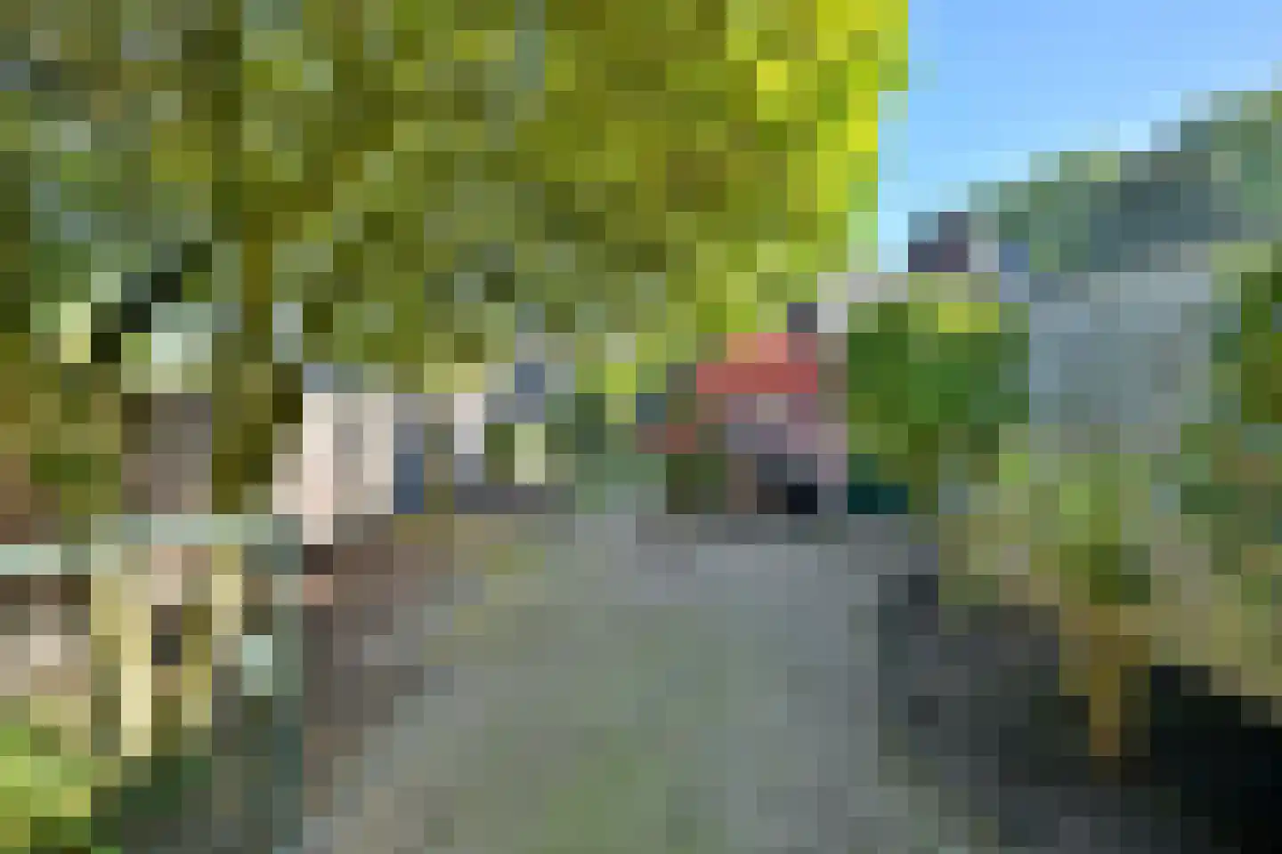 Zutphensestraat 107 Brummen thumbnail 39