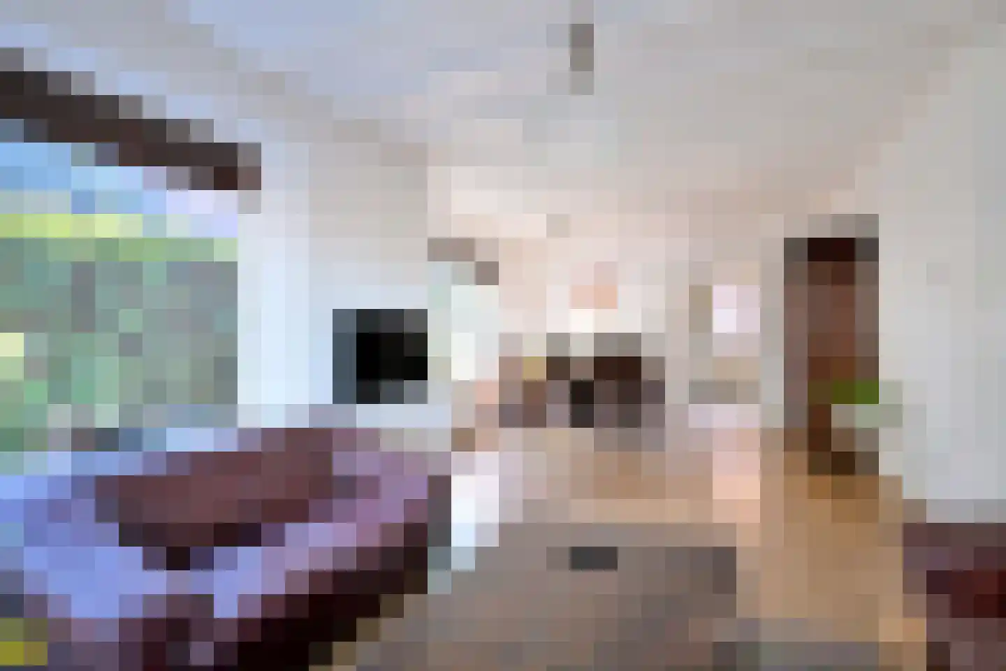 Zutphensestraat 107 Brummen thumbnail 4