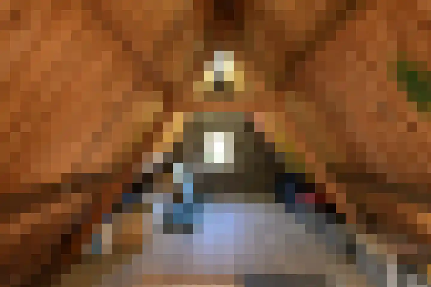 Zutphensestraat 107 Brummen thumbnail 46