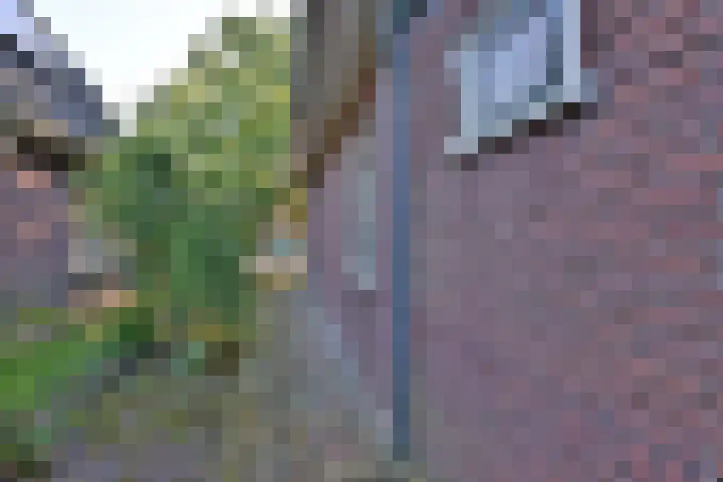 Zutphensestraat 107 Brummen thumbnail 50