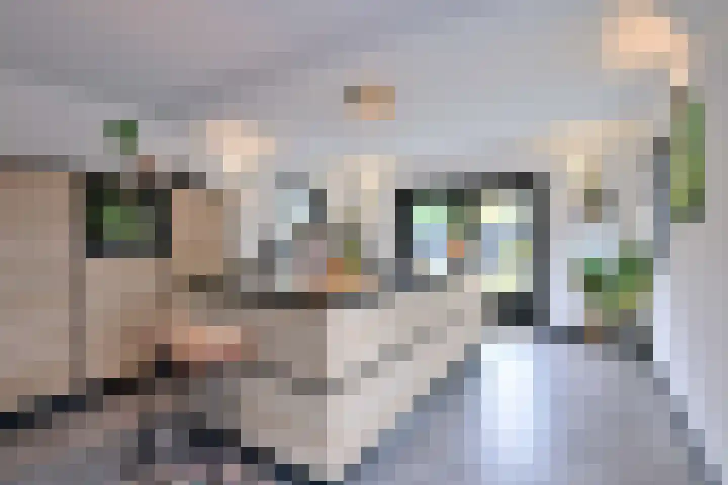 Zutphensestraat 109 Brummen thumbnail 20