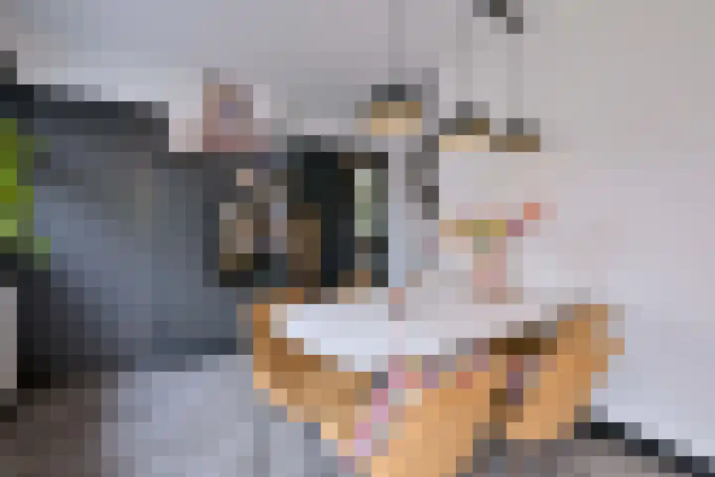Zutphensestraat 109 Brummen thumbnail 25