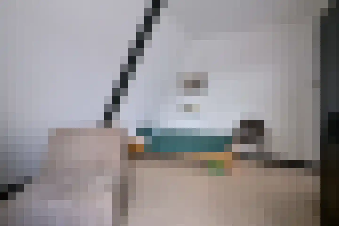 Zutphensestraat 109 Brummen thumbnail 33