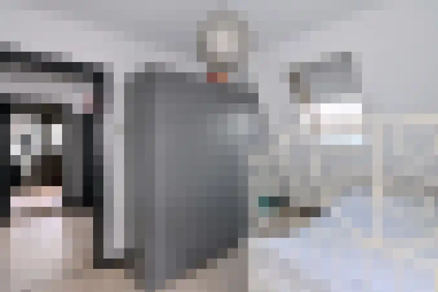 Zutphensestraat 109 Brummen thumbnail 35