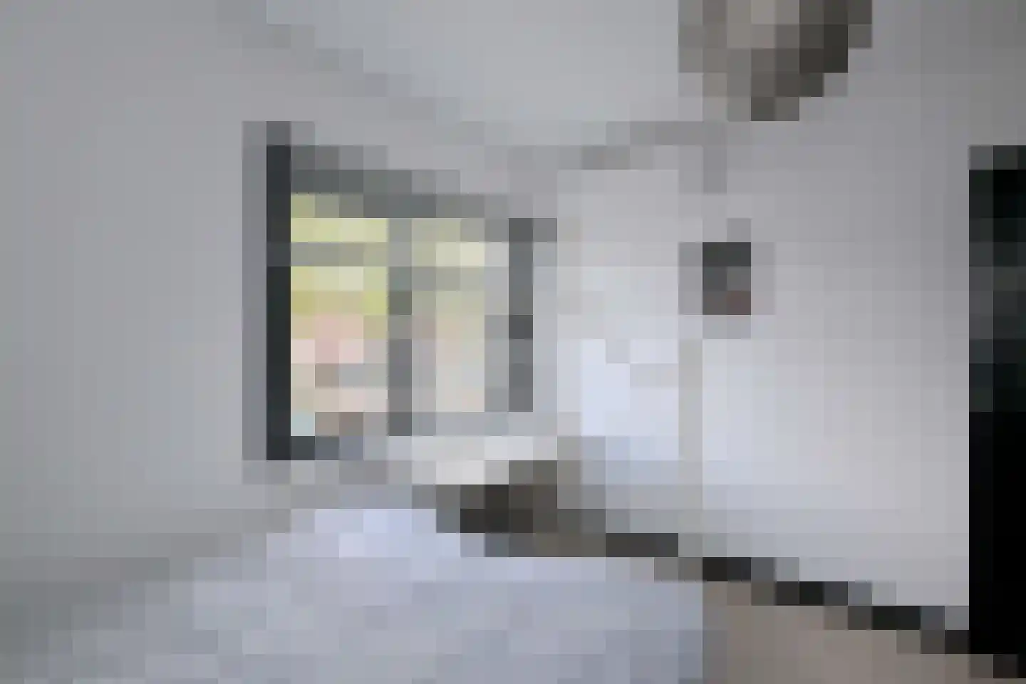 Zutphensestraat 109 Brummen thumbnail 36