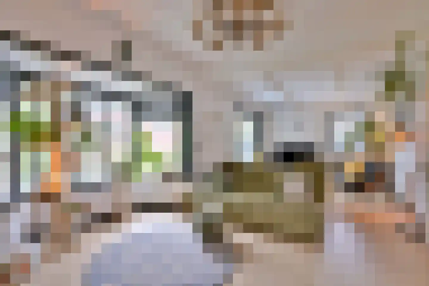Zutphensestraat 109 Brummen thumbnail 4