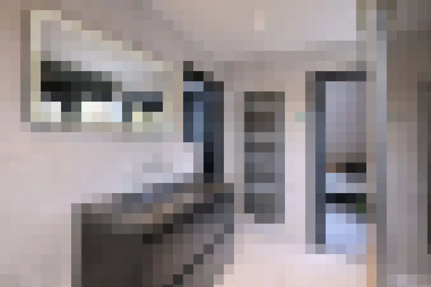 Zutphensestraat 109 Brummen thumbnail 42