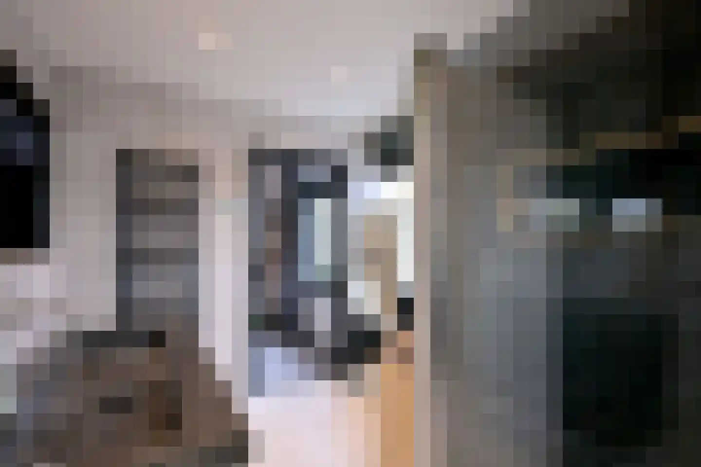 Zutphensestraat 109 Brummen thumbnail 43