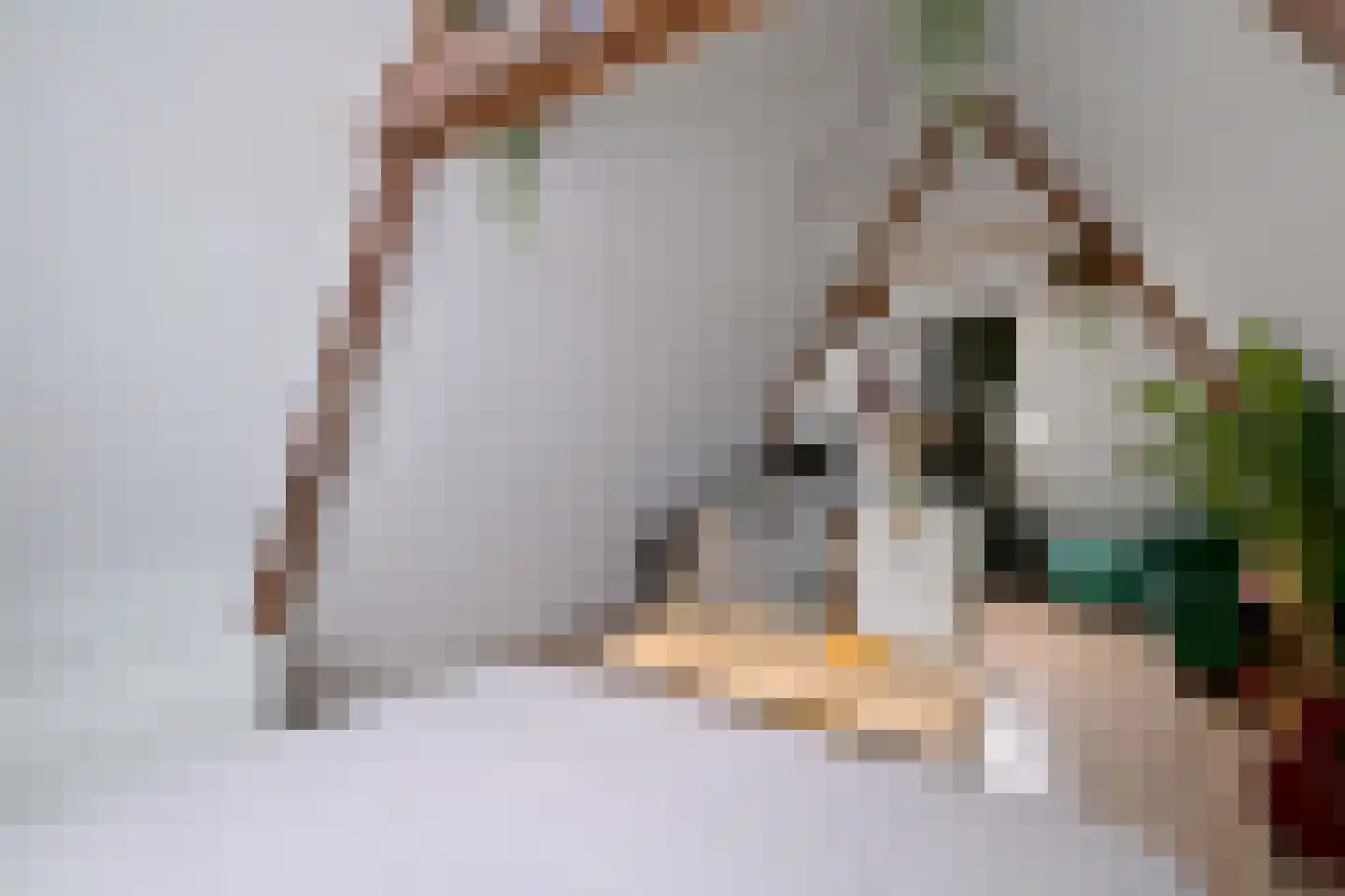 Zutphensestraat 109 Brummen thumbnail 47