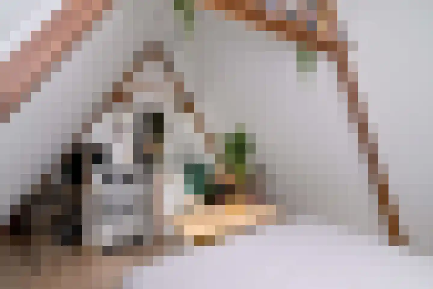 Zutphensestraat 109 Brummen thumbnail 49