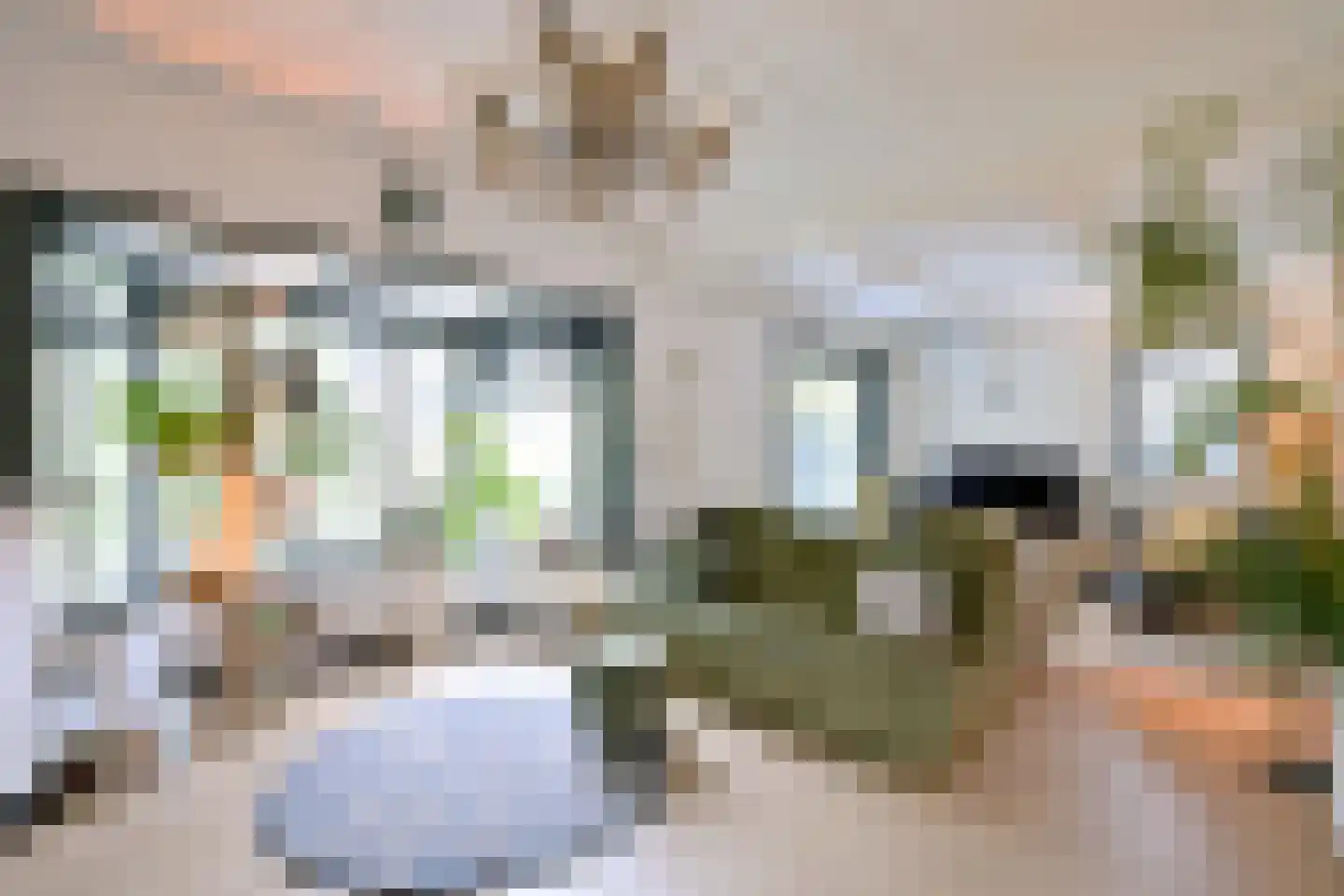 Zutphensestraat 109 Brummen thumbnail 5