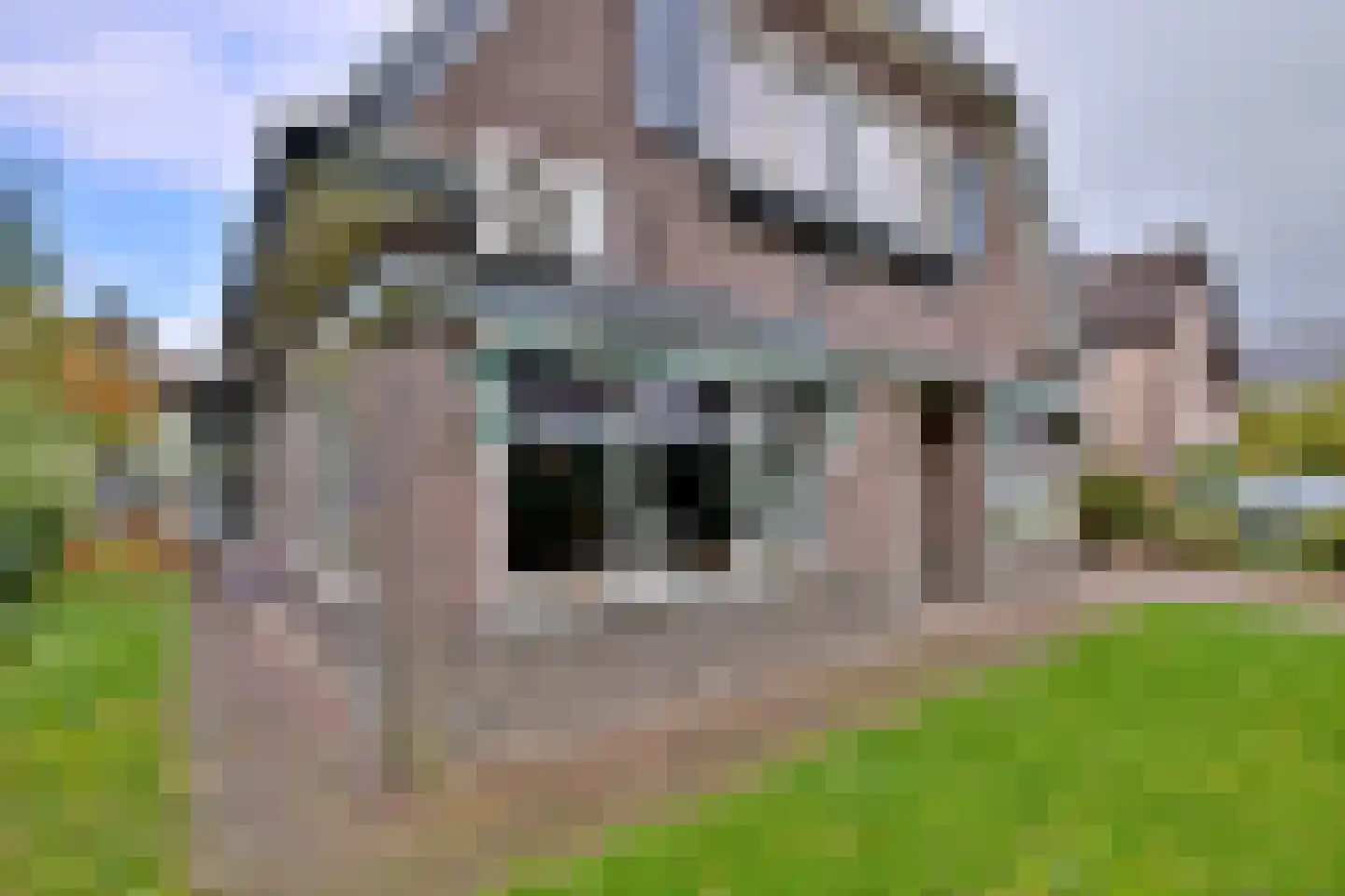 Zutphensestraat 109 Brummen thumbnail 58