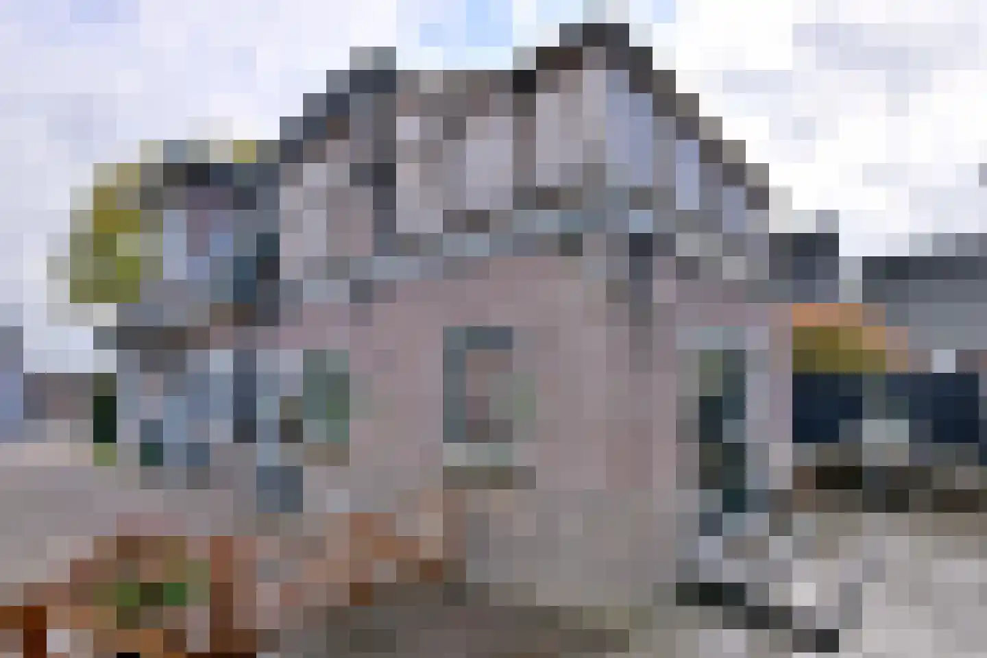 Zutphensestraat 109 Brummen thumbnail 66