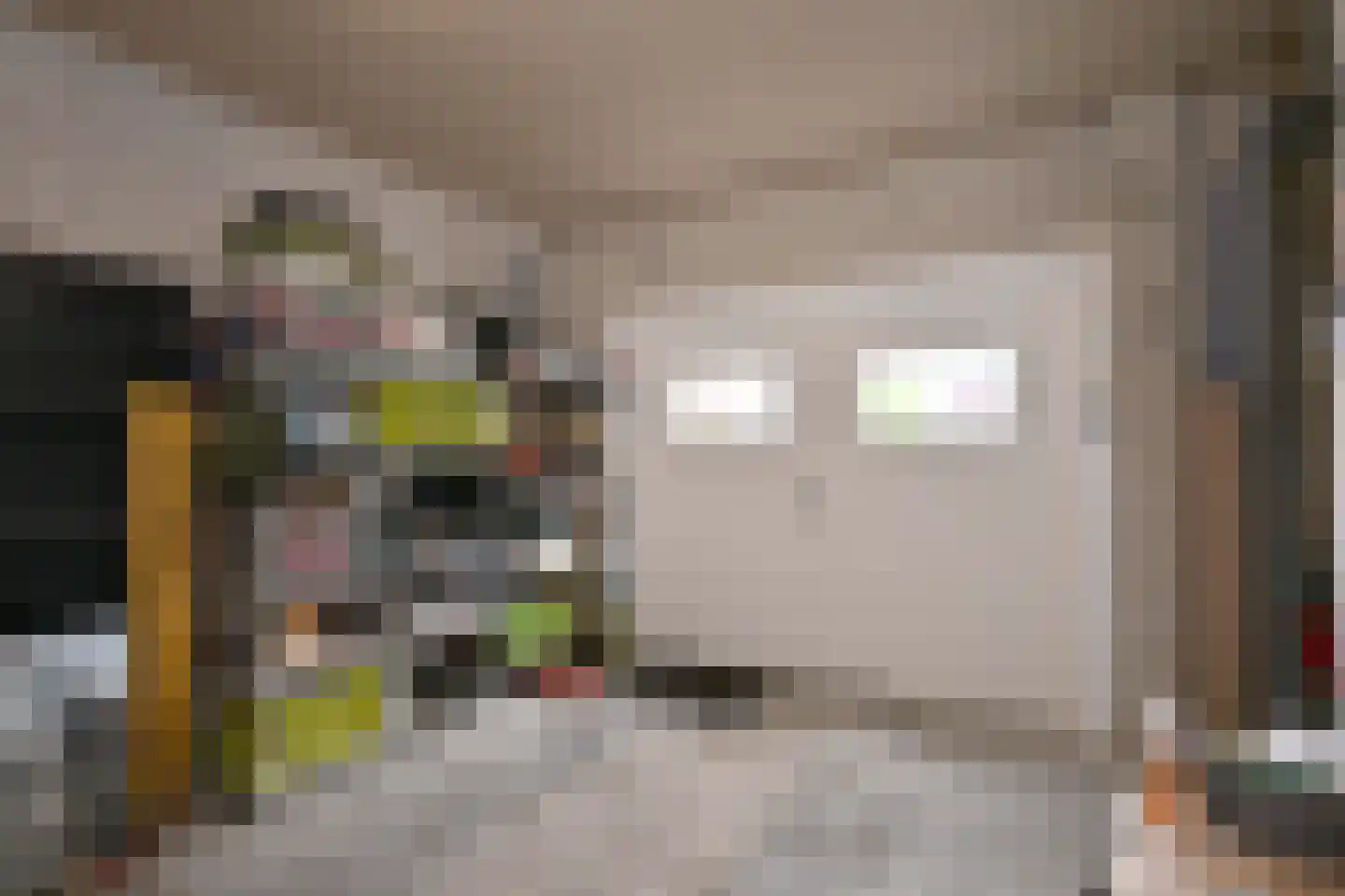 Zutphensestraat 109 Brummen thumbnail 67