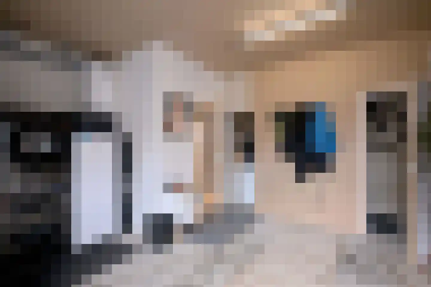Zutphensestraat 109 Brummen thumbnail 68