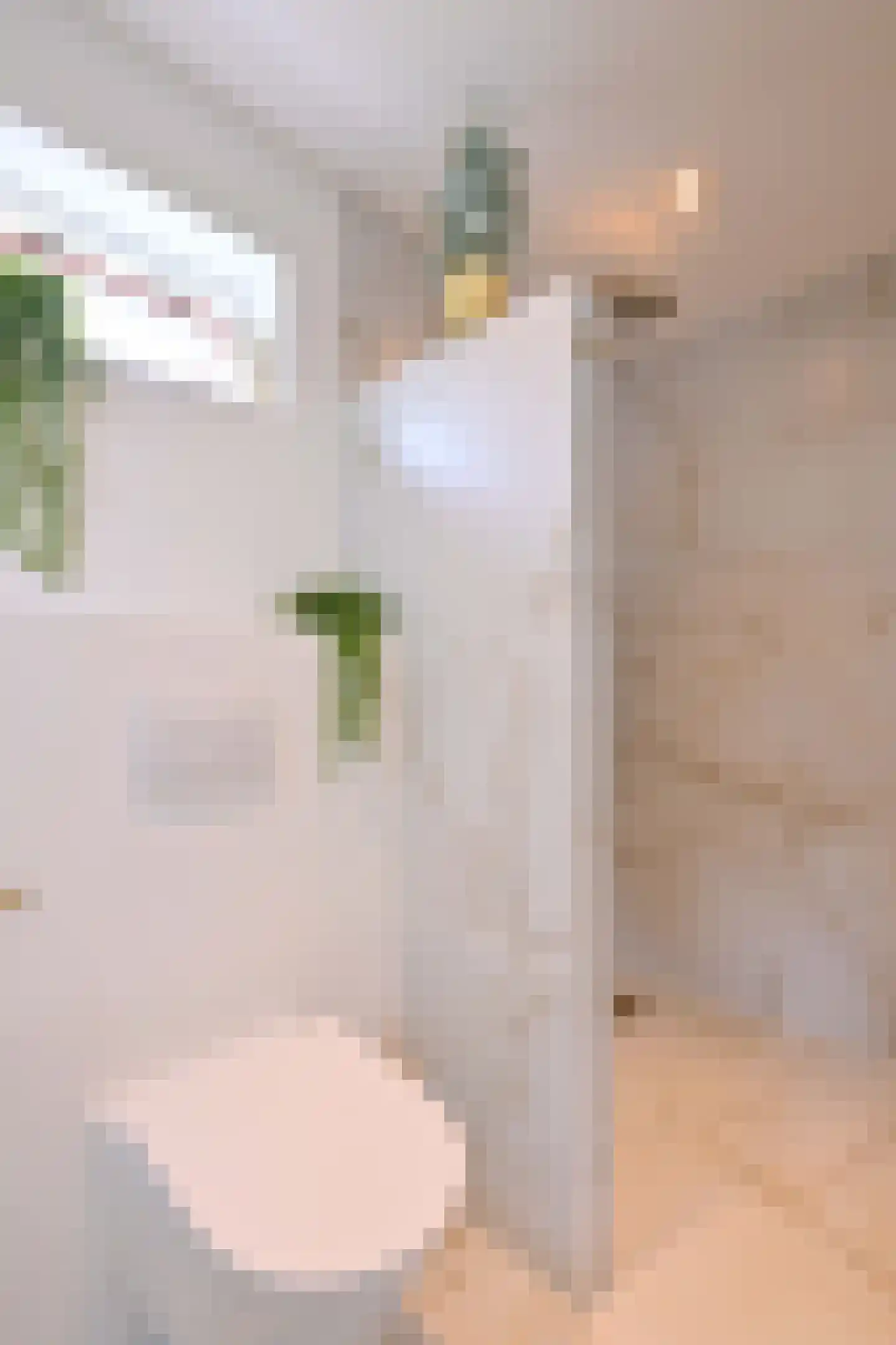 Zutphensestraat 109 Brummen thumbnail 70