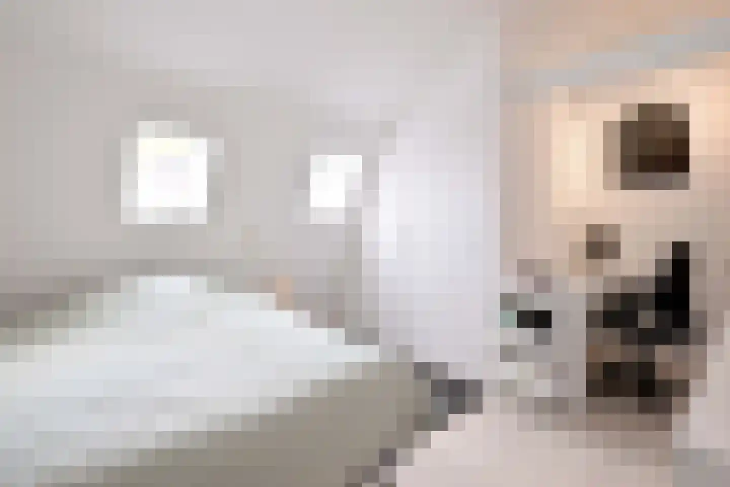 Zutphensestraat 109 Brummen thumbnail 73