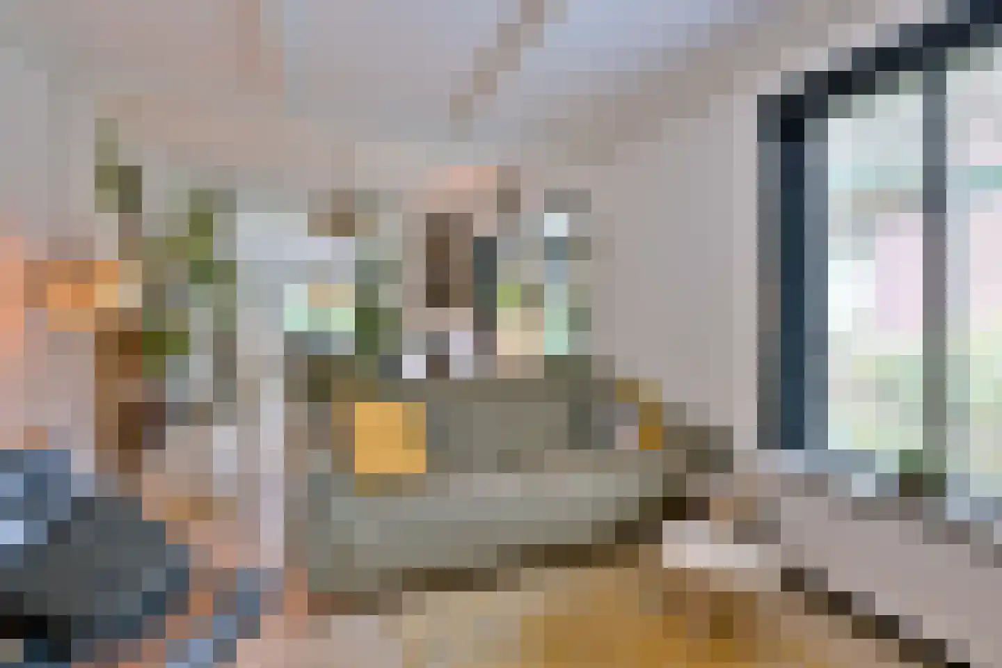 Zutphensestraat 109 Brummen thumbnail 8