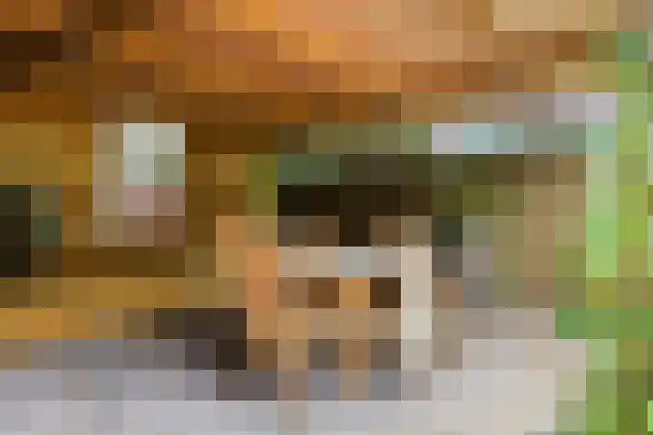 Zutphensestraat 151 A Apeldoorn thumbnail 27