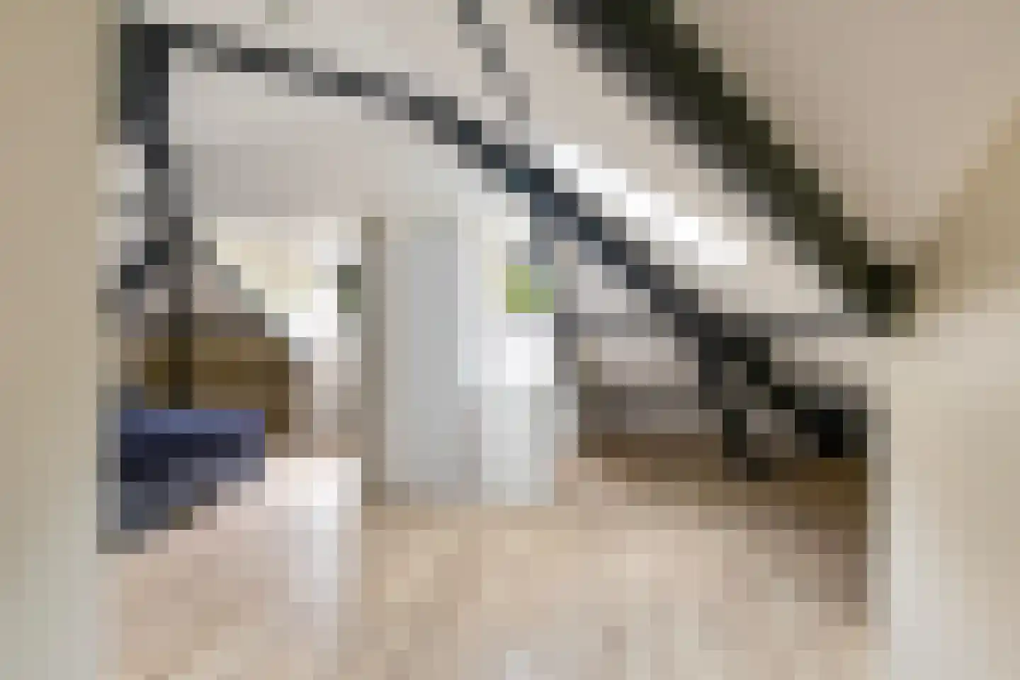 Zutphensestraat 153 Apeldoorn thumbnail 39