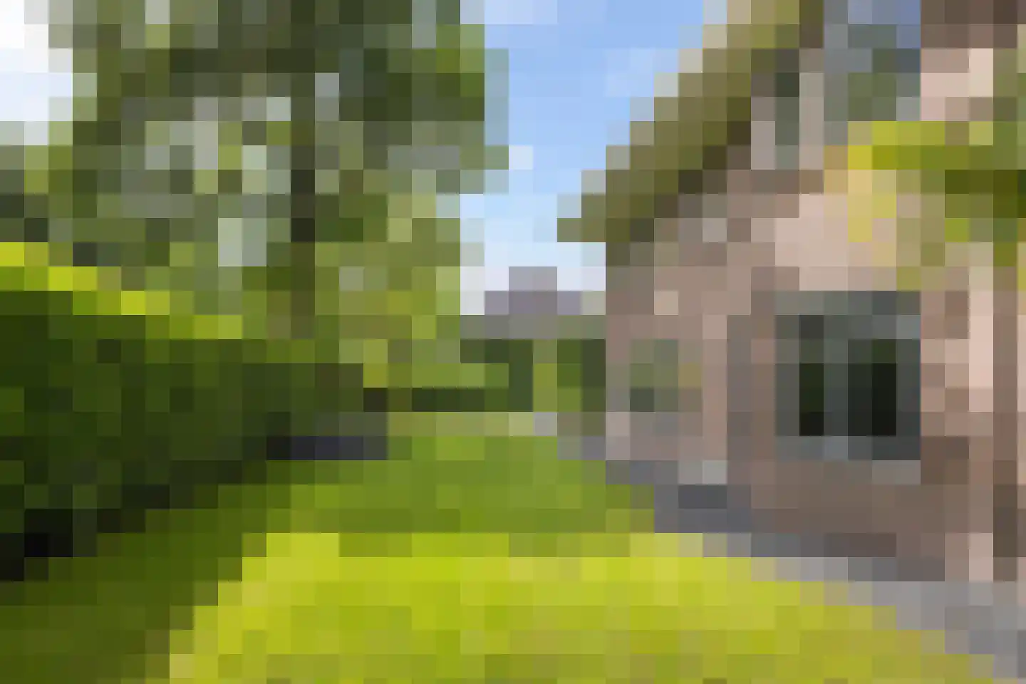 Zutphensestraat 153 Apeldoorn thumbnail 53