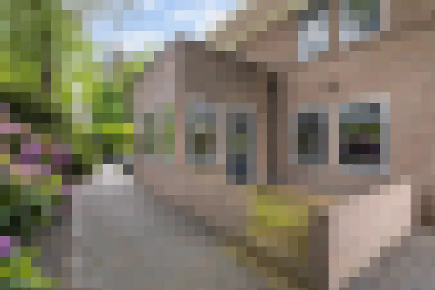 Zutphensestraat 153 Apeldoorn thumbnail 56