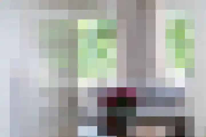 Zutphensestraat 208 Brummen thumbnail 9