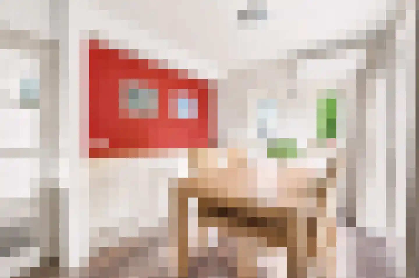 Zutphensestraat 23 Apeldoorn thumbnail 13